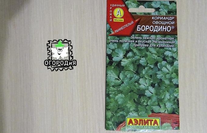 Bolsa de cilantro Borodino semillas de hortalizas