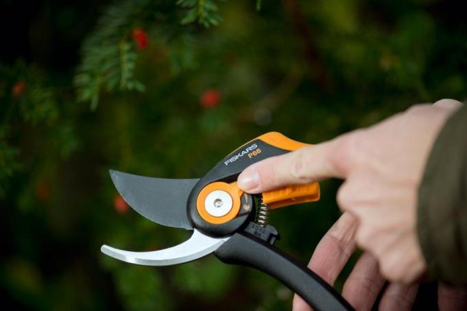 Tijeras de podar debe estar en el arsenal de cada jardinero! ( https://static.my-shop.ru/product/f3/208/2075515.jpg)