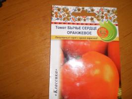"Naranja corazón alcista" - un favorito variedades de tomate con color brillante!