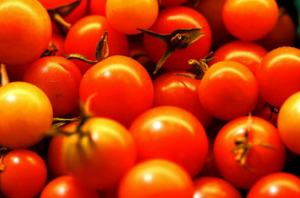 Fertilizantes milagro Útil para los tomates de una ortiga