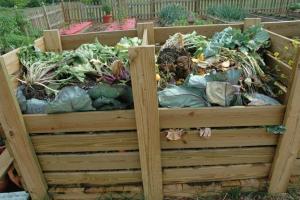 ¿Cómo reducir el tiempo de maduración de compost.