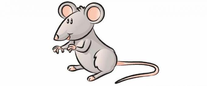 Algunas personas han disgustado un tipo ratones, por lo que los reemplazó con imágenes de las imágenes de Internet