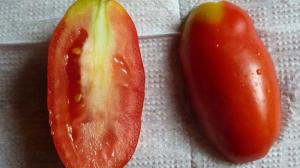 ¿Por qué los tomates en blanco y seredinka rígida.