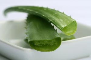 Cansado de esperar a la floración plantas de maceta? Unas gotas de jugo del aloe hacerlos florecerá como nunca antes