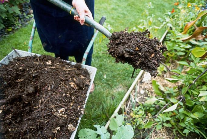 Agujas para el compost | Jardinería y horticultura