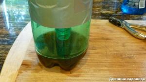 Deshacerse de los mosquitos en el país con la ayuda de una botella de plástico