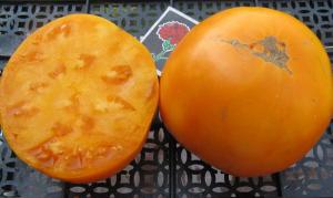 5 deliciosa indeterminada de tomate variedades