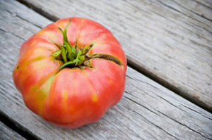 Crecer deliciosos y buenos tomates en camas