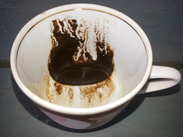 posos de café como una forma de atraer gusanos