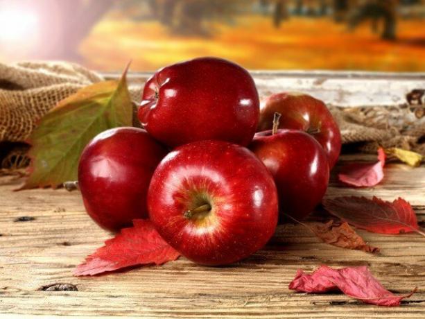 ¿Cuáles son los beneficios de las manzanas y pueden dañar el cuerpo?