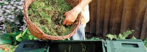 Seis reglas de un buen compost
