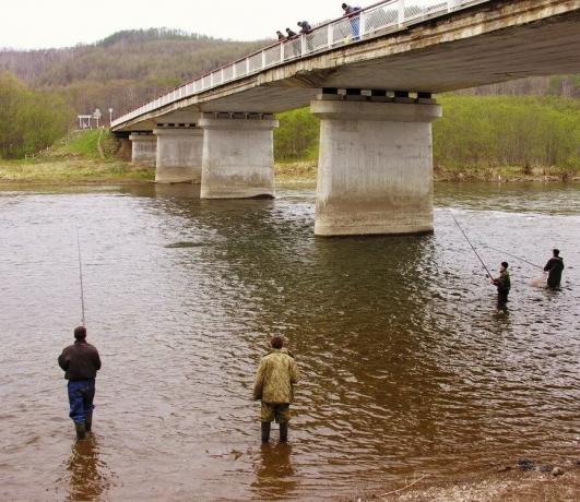 Lo que una cara bien para la pesca desde los puentes? | ZikZak
