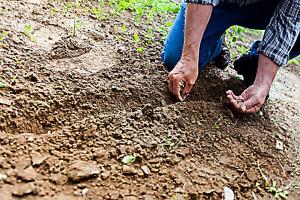 El fundamento de la casa. ¿Cómo empiezo?