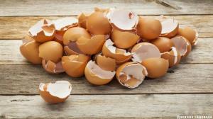 Cáscara de huevo: 3 aplicaciones útiles en el jardín del otoño