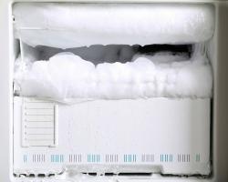 La rapidez con que se descongela el refrigerador: media hora y limpie