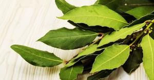 Secretos inusuales de hojas de laurel