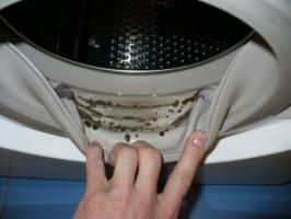 Cómo quitar el olor a humedad de la lavadora