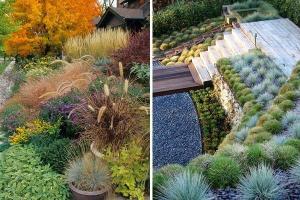 Las hierbas ornamentales: un hermoso jardín durante todo el año