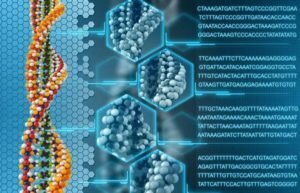 El peligro de los transgénicos, lo que es, el impacto en la salud humana