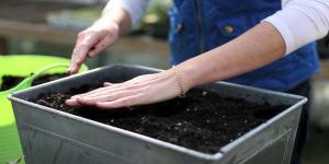 El suelo ideal para la siembra de semillas para las plantas de semillero.