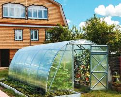 Preservación del invernadero: cómo preparar un invernadero para el invierno