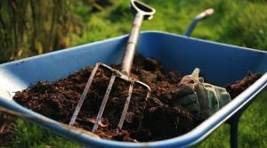 La mejora de la fertilidad del suelo sin el uso de estiércol.