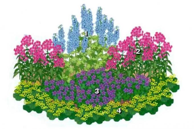 Así pues, aquí es un diagrama de nuestro jardín de flores. Se ve bien! Yo digo quién es quién, y cómo crecer.