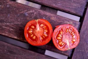 ¿Cómo elegir un semillas de tomate con prudencia