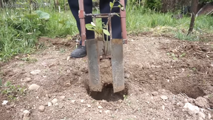 Proceso de uso de la herramienta: gat de plántulas del suelo y en un solo paso se trasplanta