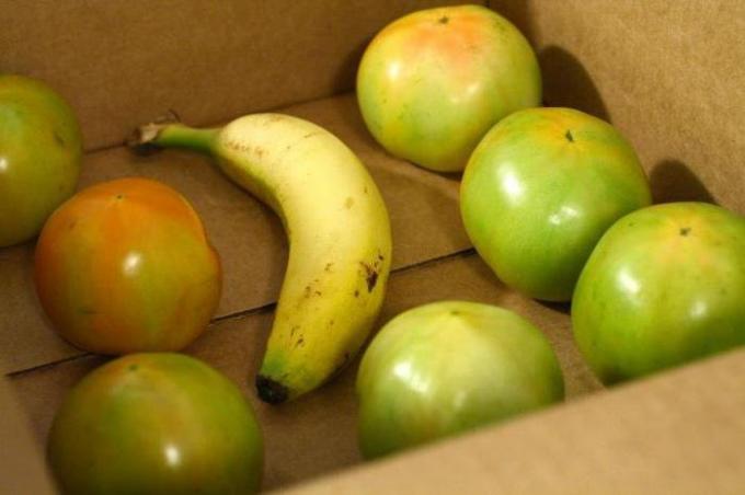 Plátano en una caja con tomates verdes | Jardinería y horticultura