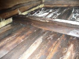 ¿Por zamokaet minvata: ¿Cómo aislar techos en el baño y no se solapa la pudrición