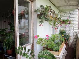 Cómo equipar un jardín de invierno en el balcón