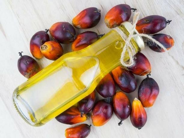 ¿Cuáles son las cualidades beneficiosas y nocivas del aceite de palma?