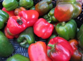 Miracle-aderezo para las verduras, gracias a la cual se le sorprendió a su excelente rendimiento