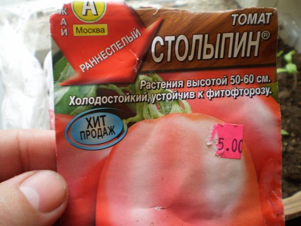 La variedad de tomate "Stolypin"