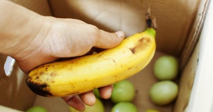 plátano maduro acelera la maduración de los tomates verdes