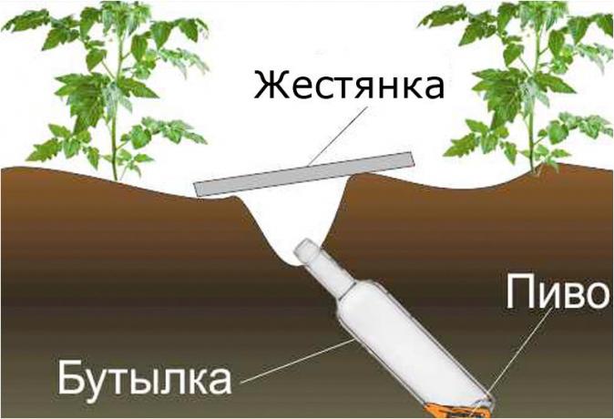diseño de sitios klopkan.ru esquema
