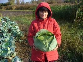 5 cosas importantes que hacer en el jardín en octubre para una buena cosecha en 2019
