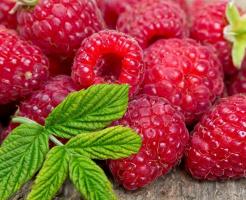 Berry y frambuesa: características de plantación y mantenimiento. Cosechar cada año