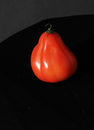 La variedad de tomate "Puzata Hut"