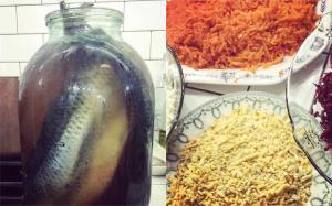 Sazona con sal y cocinar la capa de arenque durante 3 días hasta el Año Nuevo según la receta de Margarita Simonyan