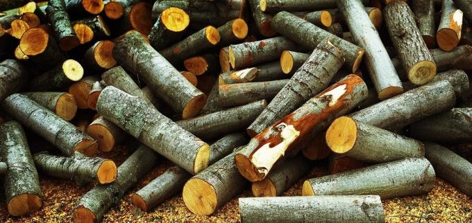 Aspen madera limpiar perfectamente el hollín de chimenea