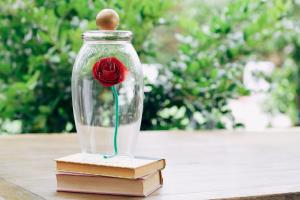 ¿Cómo hacer un regalo único para mujeres para el Año Nuevo? Aprendiendo a hacer rosas en un frasco con nuestras propias manos.