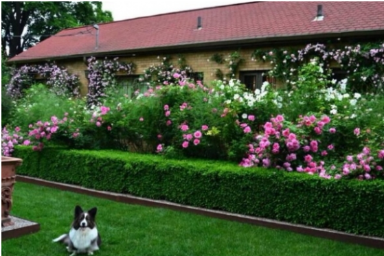 Casita cubre con flores