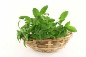 Ztamenitel stevia azúcar: los riesgos y beneficios, propiedades y contraindicaciones