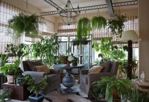 Que originales y con buen gusto decorar sus plantas de interior, haciendo que el interior de las habitaciones inolvidables. 6 ideas de diseño