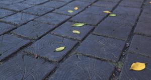 Bloques de pavimento de madera quemada: el sendero del jardín eterna con sus propias manos