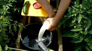 Como estoy preparando un fertilizante con suero de pepinos, tomates, pimientos