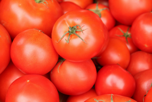 ¿Cómo elegir los tomates en el año 2019?