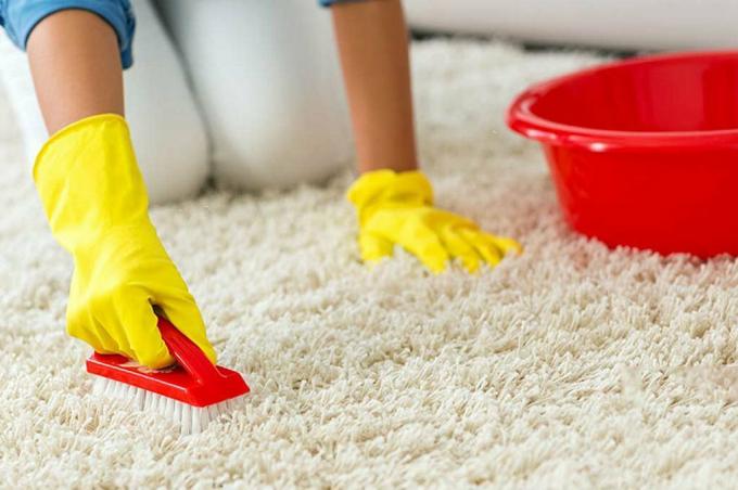 Cómo limpiar la alfombra sin necesidad de herramientas especiales?